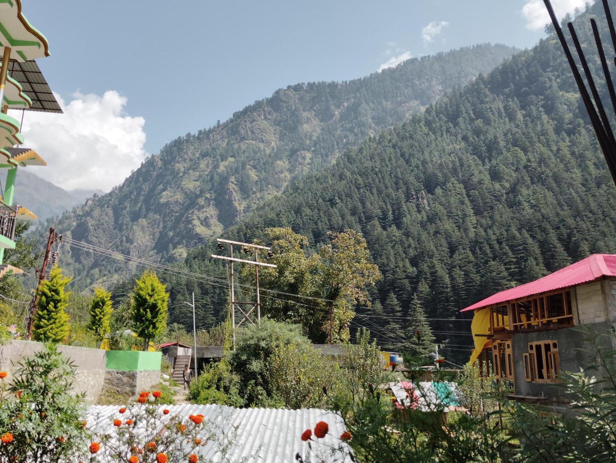 Hotel Dog N Hill Kasol Exterior foto